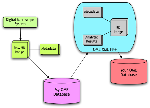 Data Workflow