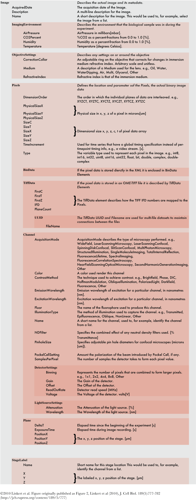 Definitions of values stored