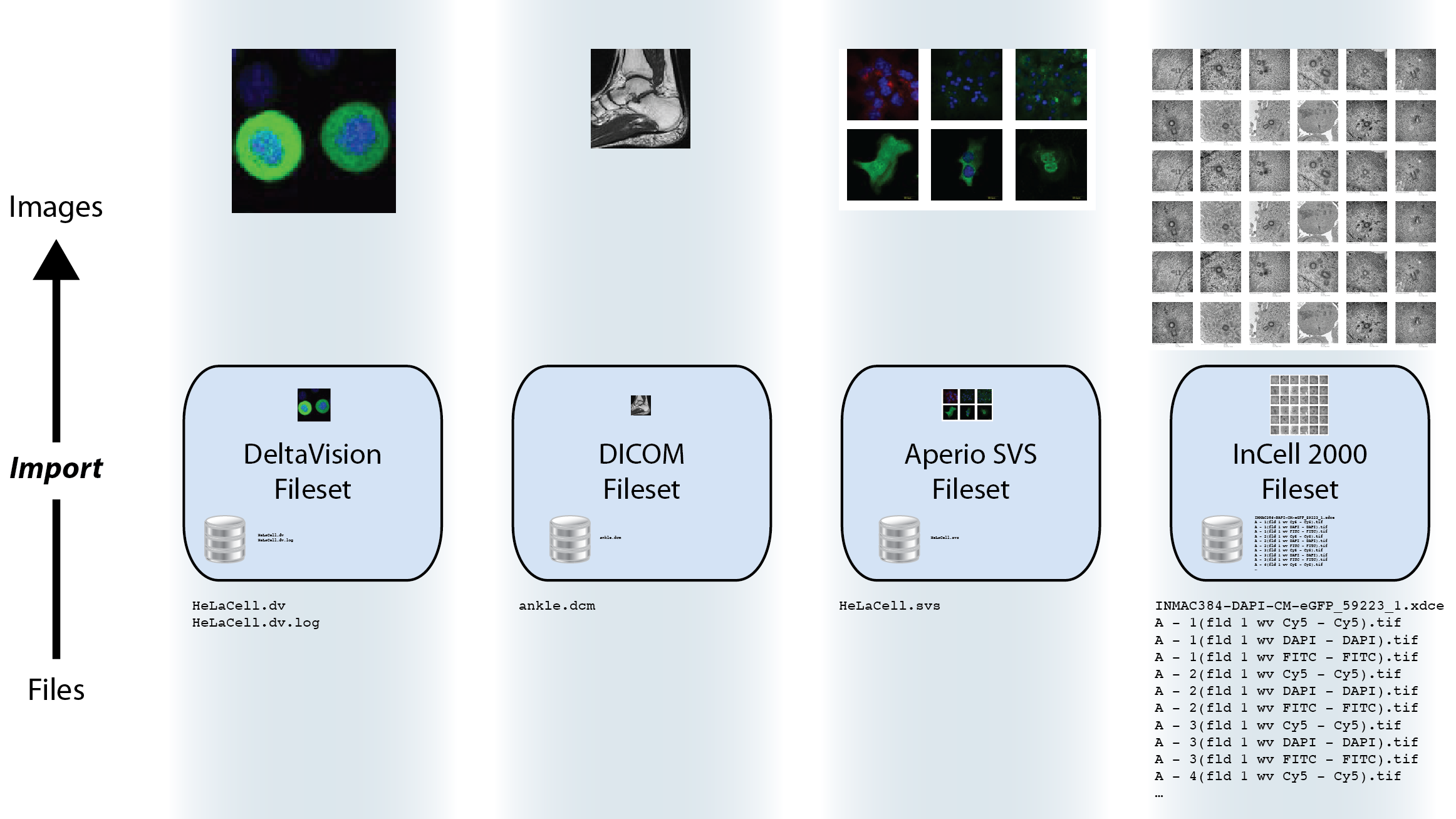 Filesets can be many-to-one, one-to-one, one-to-many or many-to-many