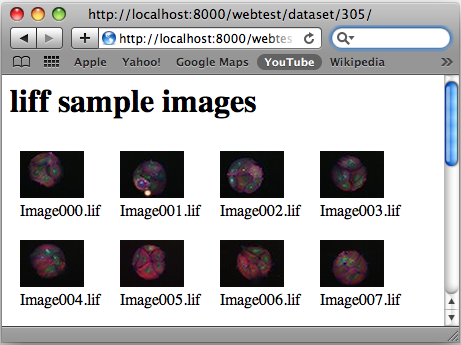 Screen-shot of the omero-webtest/dataset/example